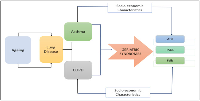 Chronic lung diseases (Asthma and COPD) among middle-aged and older populations in India: social, individual, and household determinants and their associations with geriatric syndromes.