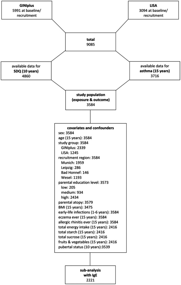 Prospective association between psychopathological symptoms in childhood and asthma in adolescence: Results from the GINIplus and LISA birth cohort studies.