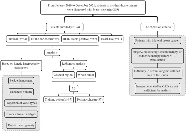 Dynamic contrast-enhanced MRI-based radiomics model of intra-tumoral kinetic heterogeneity for predicting breast cancer molecular subtypes.