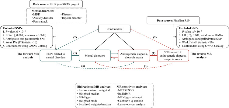Causal Link of Distinct Mental Disorders with Androgenetic Alopecia and Alopecia Areata: A Bidirectional Two-Sample Mendelian Randomization Study.