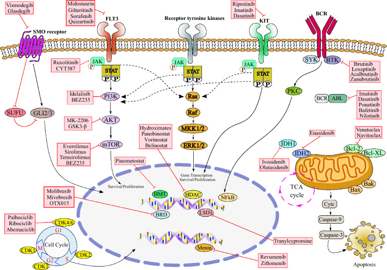 One step further in targeting acute leukemia by combining antibody-based immunotherapies and small molecule inhibitors.