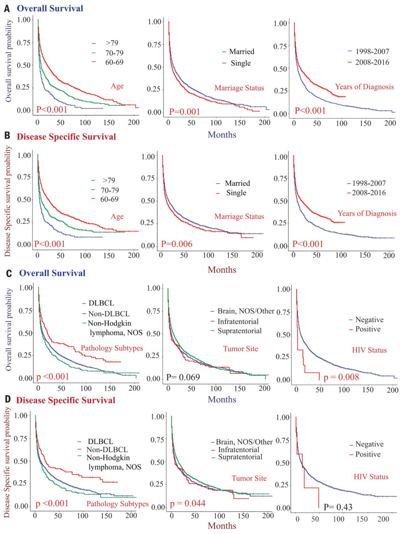 Clinical Characteristics, Prognostic Risk Factors, and Primary Treatment for Elderly Patients with Primary Central Nervous System Lymphoma: A Seer Database-Based Research.