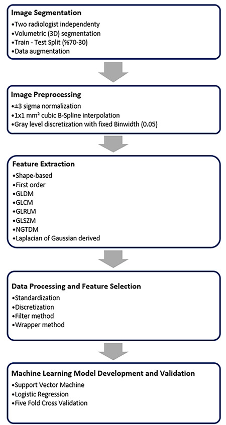 Machine learning models for discriminating clinically significant from clinically insignificant prostate cancer using bi-parametric magnetic resonance imaging