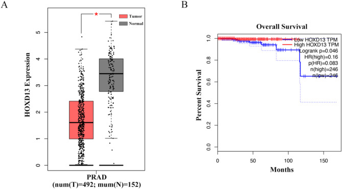 HOXD13 knockdown attenuates apoptosis in prostate cancer via the upregulation of MDM2/p53 signaling.