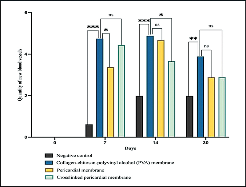 Biodegradation, Angiogenesis, and Inflammatory Response of a Collagen-Chitosan-Polyvinyl Alcohol (PVA) Membrane: In Vivo Model of Guided Tissue Regeneration.