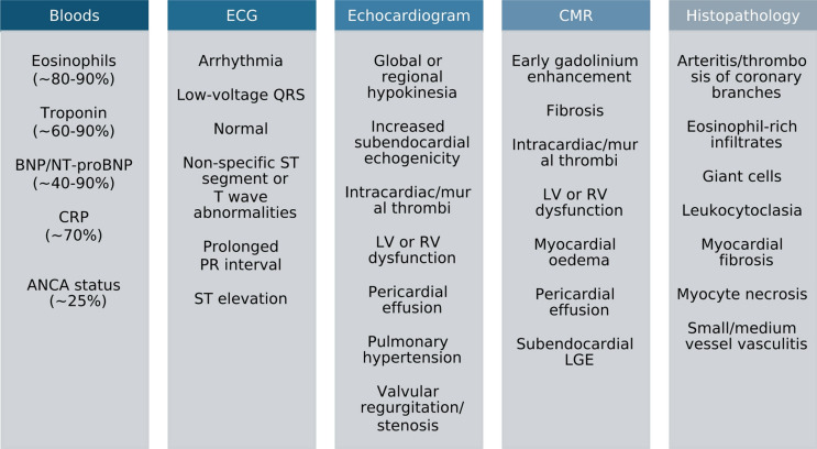 Cardiac Involvement in Eosinophilic Granulomatosis with Polyangiitis.