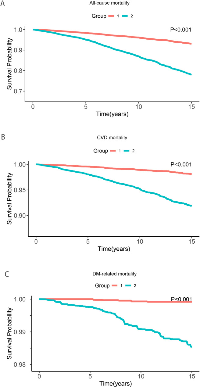 Triglyceride glucose-weight-adjusted waist index (TyG-WWI): the best predictor of diabetes mellitus and mortality risks among TyG and TyG-derived indices.
