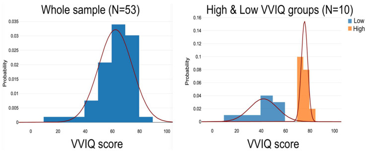 Stronger Short-Term Memory, Larger Hippocampi and Area V1 in People with High VVIQ Scores.