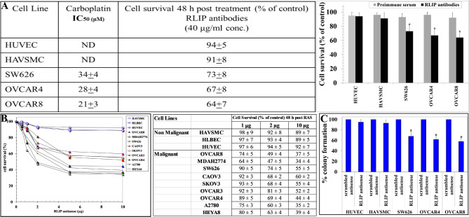 Targeting the oncoprotein RLIP as novel therapy for ovarian cancer.