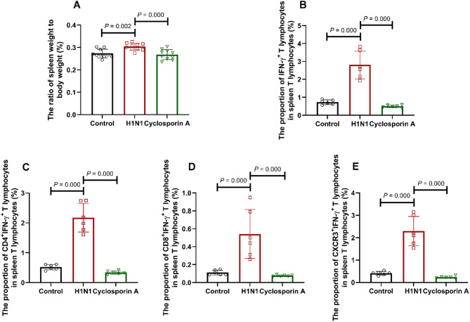 Cyclosporin A alleviates influenza A (H1N1) virus-induced chronic pulmonary inflammation through decreasing IFN-γ-producing T lymphocytes.
