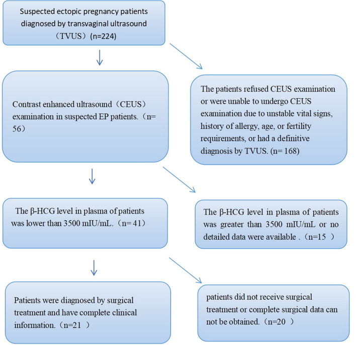 Contrast enhanced ultrasound - a useful method for diagnosing tubal ectopic pregnancy with low level β-HCG.