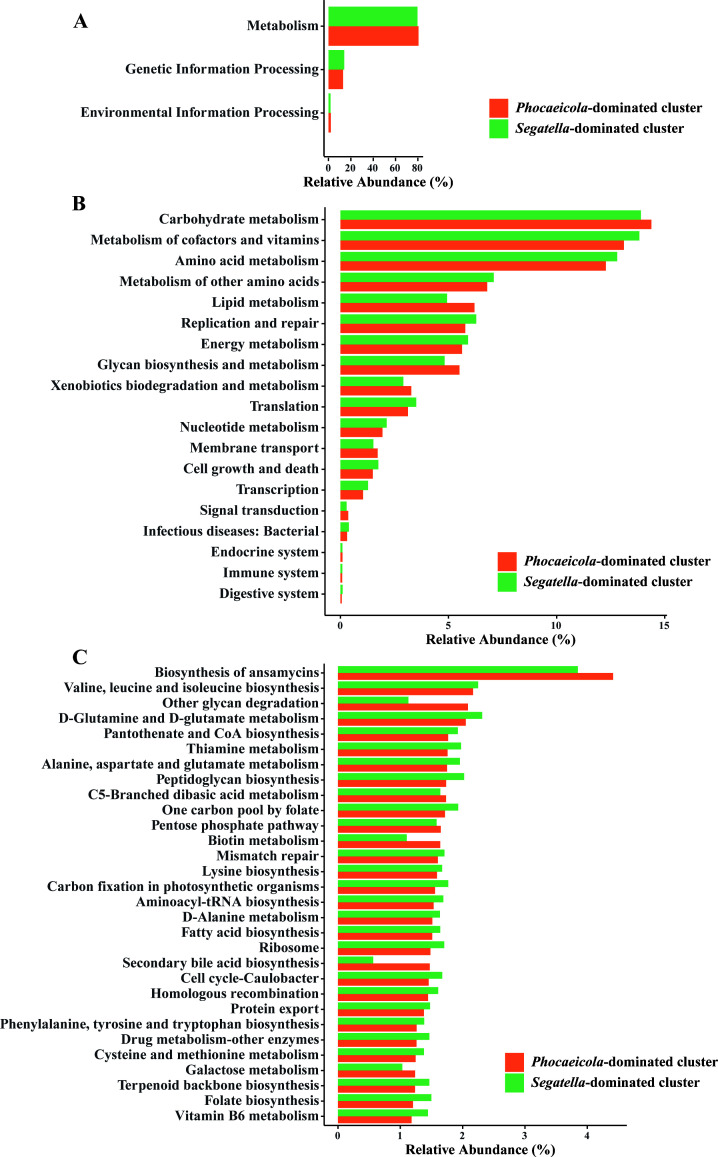 Significant associations between high-risk sexual behaviors and enterotypes of gut microbiome in HIV-negative men who have sex with men.