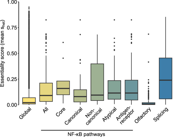 Insights from human NF-κB knockouts.