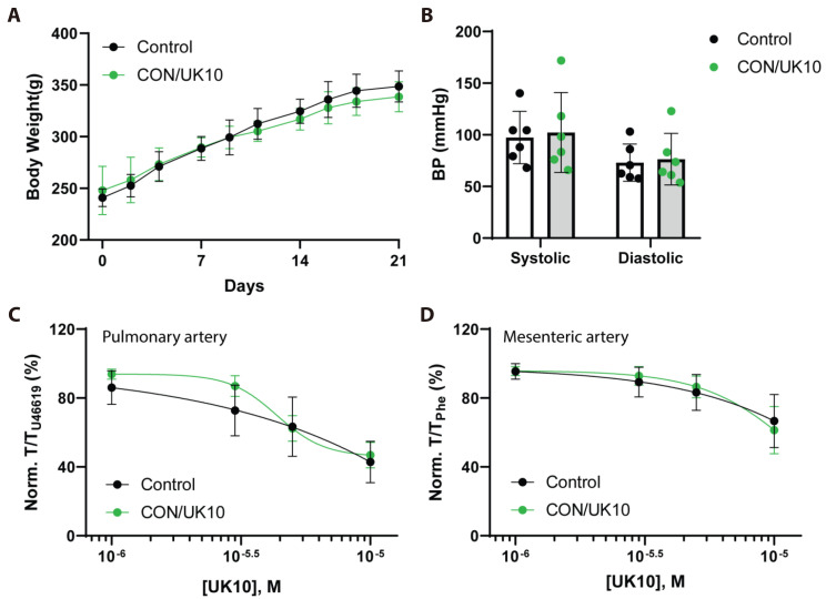 Effects of <i>in vivo</i> treatment with K<sub>v</sub>7.4 activator, URO-K10, on the impaired relaxation of pulmonary arteries in the monocrotaline-induced pulmonary hypertensive rats.