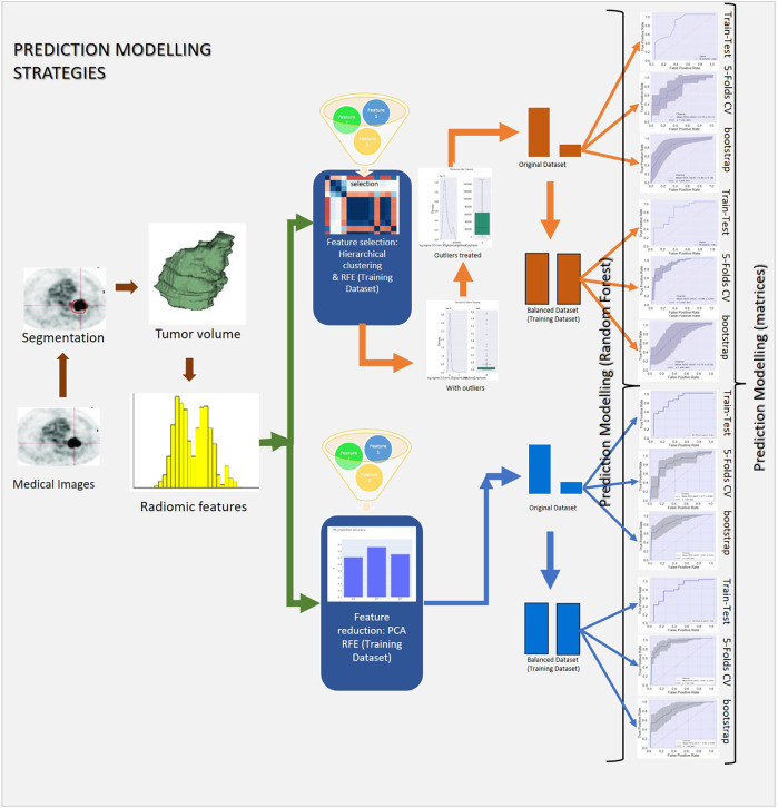 Positron emission tomography imaging biomarker and artificial intelligence for the characterization of solitary pulmonary nodule.