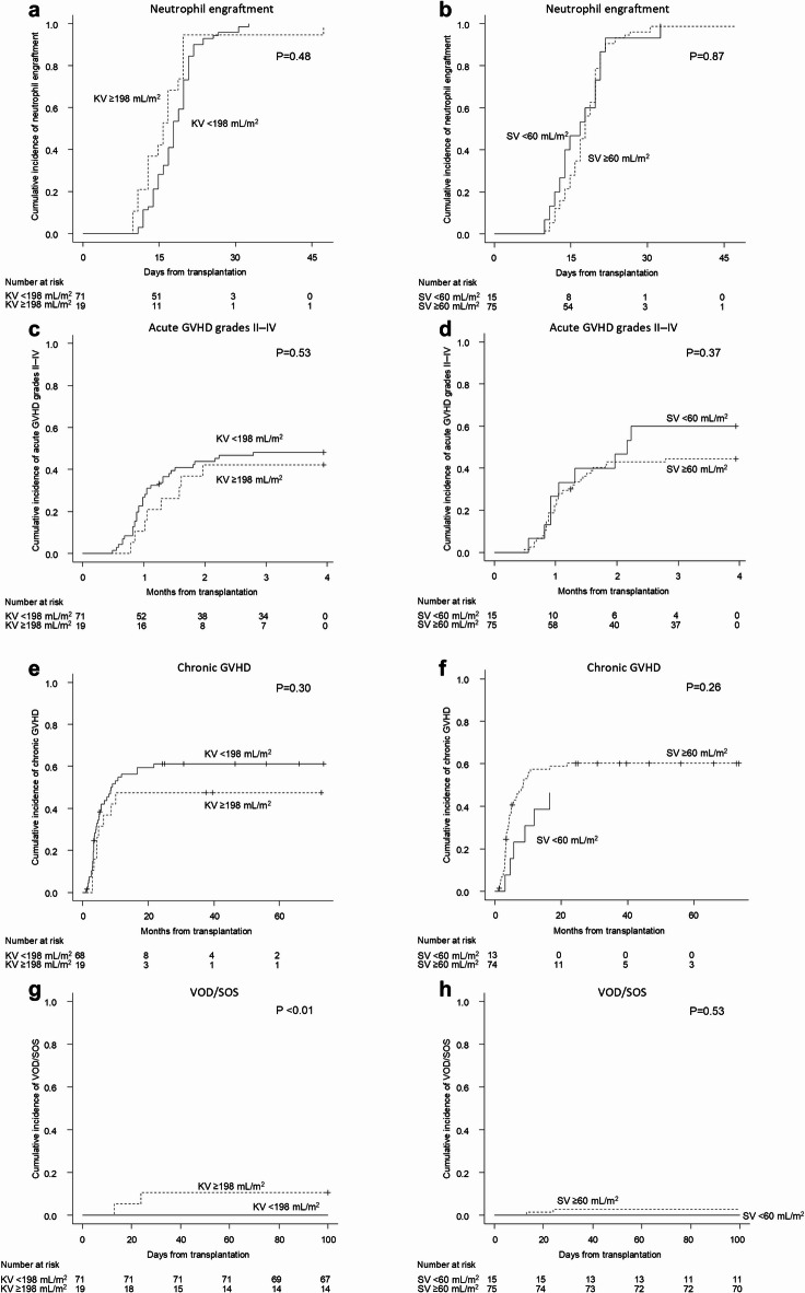 Significance of kidney and spleen volumes analyzed via three-dimensional computed tomography prior to allogeneic stem cell transplantation.