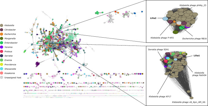 Isolation and characterisation of Klebsiella pneumoniae bacteriophages vB_Kpn_Lilla1 and vB_Kpn_Lilla2
