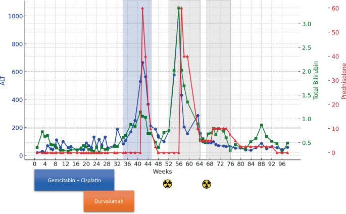 Potential radiotherapy-related reactivation of immune checkpoint inhibitor hepatitis.