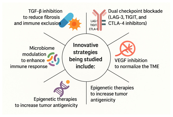 Immunotherapy in GI Cancers: Lessons from Key Trials and Future Clinical Applications.