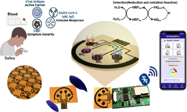 Nano-modified biosensors for detection of pathogenic diseases: The prospect of smart, multiplex and point-of-care testing.