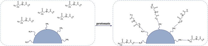 [Research progress in polyamide-amine dendrimer functionalized ionic separation media].