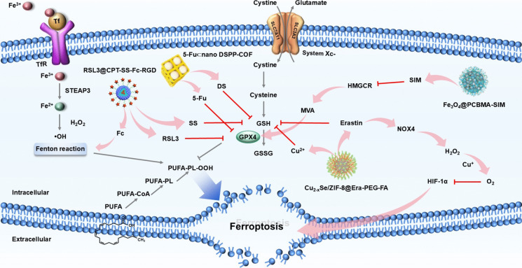 Intersection of ferroptosis and nanomaterials brings benefits to breast cancer.