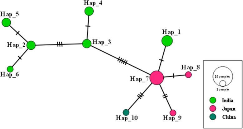 Genetic structure and evolutionary dynamics of Babesia gibsoni populations: a cytochrome oxidase subunit I (COXI) gene-based study.