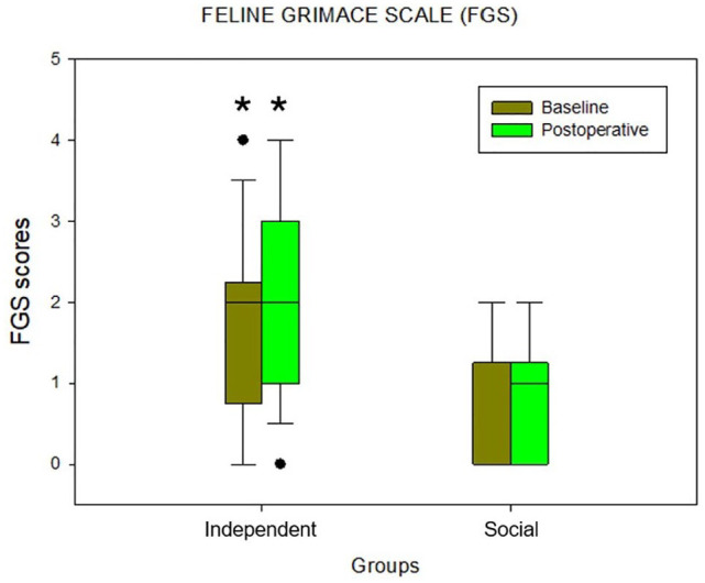 Effects of feline personality on pain assessment with two validated behaviour-based scales.
