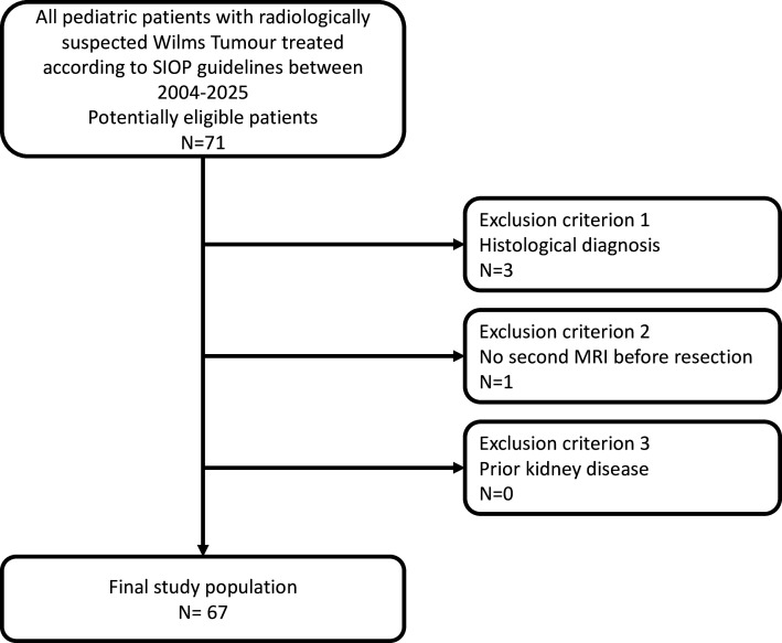 Predictors and course of hypertension in Wilms tumour patients: a retrospective observational cohort study.