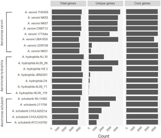 Pathogenicity and virulence of Aeromonas schubertii in farmed Asian seabass (Lates calcarifer) in Thailand.