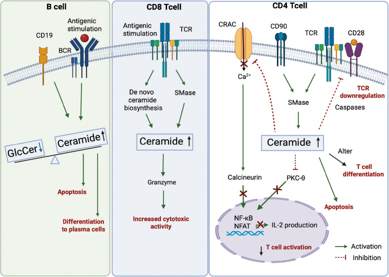 Ceramide signaling in immunity: a molecular perspective.