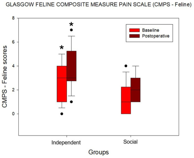 Effects of feline personality on pain assessment with two validated behaviour-based scales.