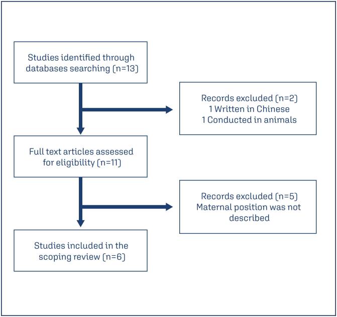 How maternal position affects umbilical and middle cerebral artery Doppler indices: insights from a scoping review.
