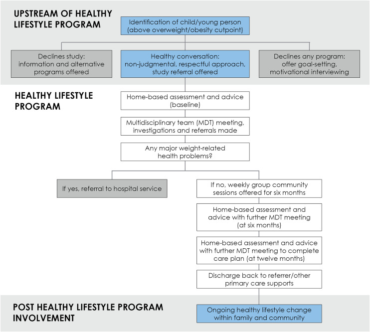 Acceptability, feasibility, and program outcomes of an equity-focused, adapted community-based healthy lifestyle program for children, young people, and their families in Perth, Western Australia: an implementation hybrid research protocol.