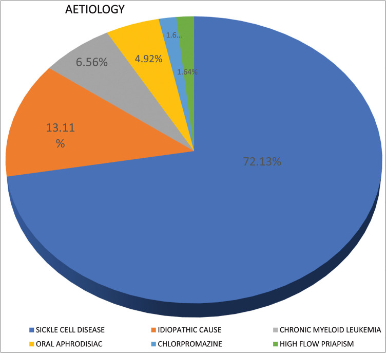 Priapism in South West Nigeria-Short and Intermediate-Term Outcomes.