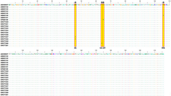 Genetic structure and evolutionary dynamics of Babesia gibsoni populations: a cytochrome oxidase subunit I (COXI) gene-based study.