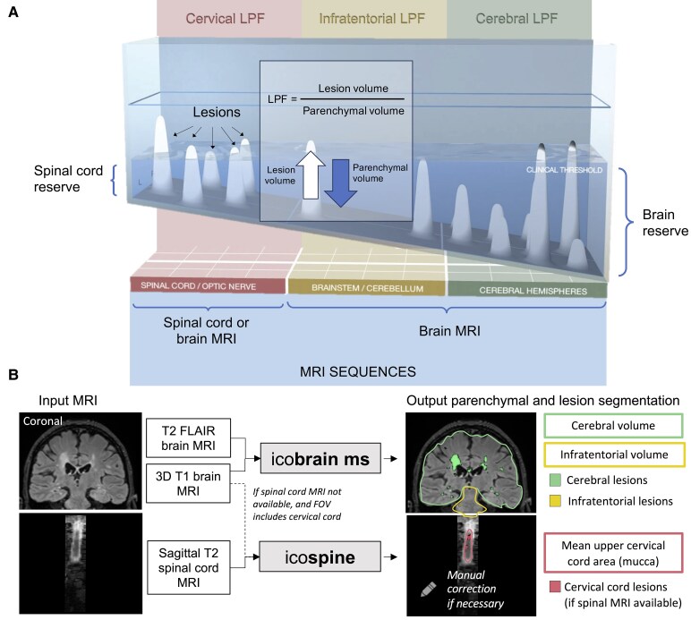 Depicting multiple sclerosis disease course using lesion parenchymal fraction: a quantified expression of the topographical model of multiple sclerosis.