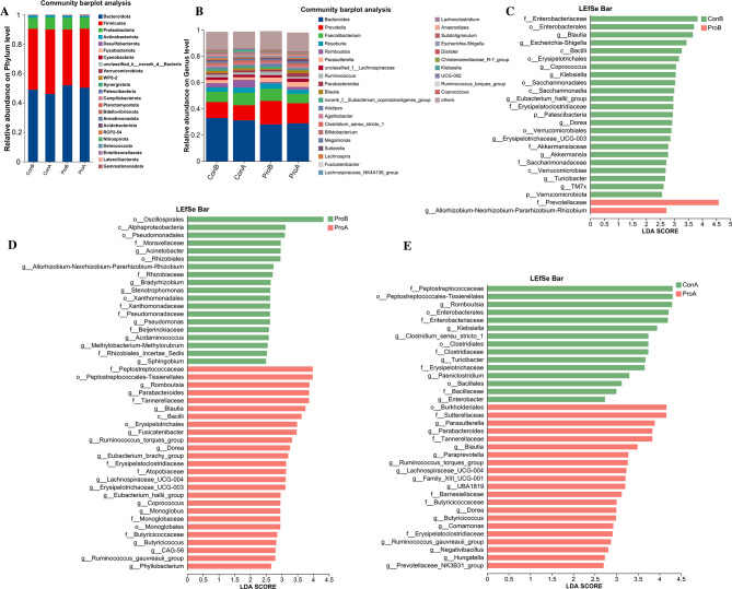 Multi-omics analyses the effect of Bifidobacterium longum subsp. longum BL21 supplementation on overweight and obese subjects: a randomized, double-blind, placebo-controlled study.