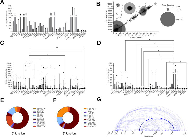 Deletion viral genome diversity among bovine viral diarrhea virus (BVDV) 1a and 1b strains.
