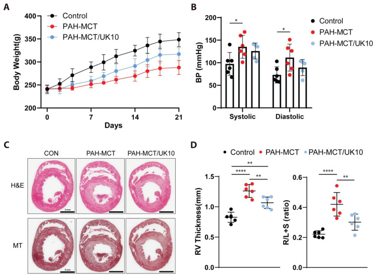 Effects of <i>in vivo</i> treatment with K<sub>v</sub>7.4 activator, URO-K10, on the impaired relaxation of pulmonary arteries in the monocrotaline-induced pulmonary hypertensive rats.