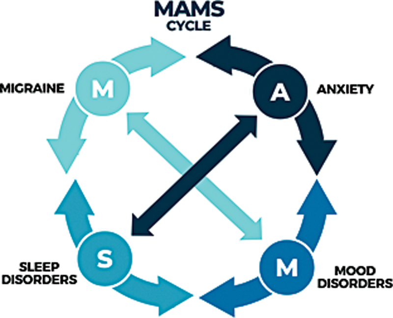 Practical issues in the management of sleep, anxiety, and mood disorders in primary headaches.