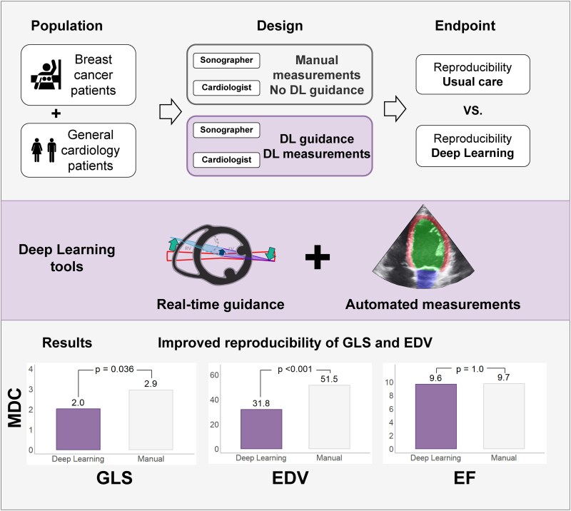 Real-time guidance and automated measurements using deep learning to improve echocardiographic assessment of left ventricular size and function.