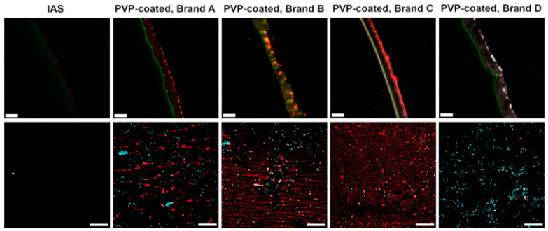 Intermittent Catheters with Integrated Amphiphilic Surfactant Reduce Urethral Microtrauma in an <i>Ex Vivo</i> Model Compared with Polyvinylpyrrolidone-Coated Intermittent Catheters.