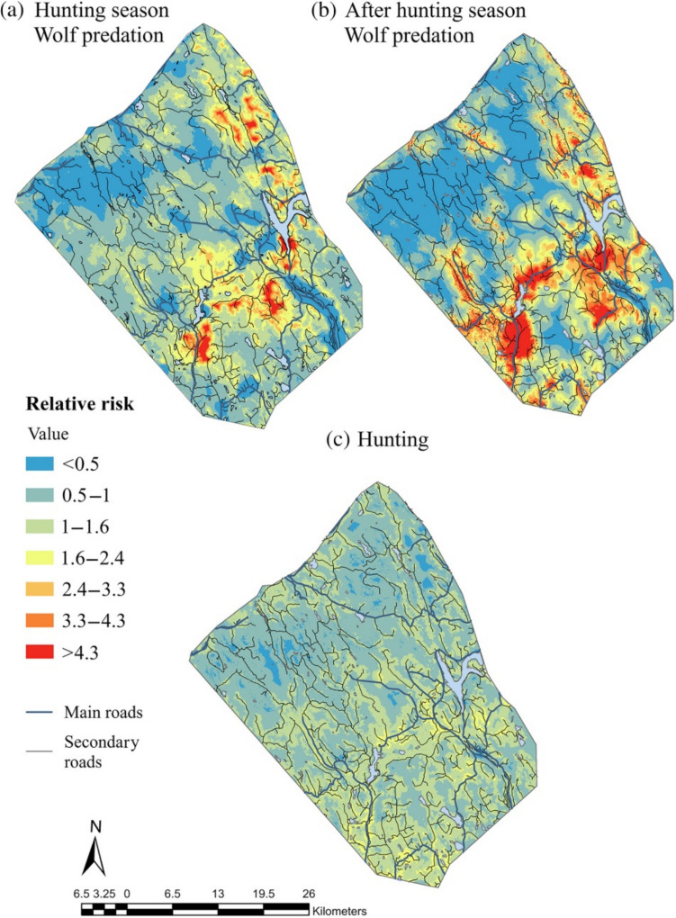Contrasting risk patterns from human hunters and a large carnivore influence the habitat selection of shared prey.