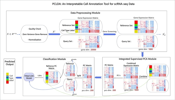 PCLDA: An interpretable cell annotation tool for single-cell RNA-sequencing data based on simple statistical methods.