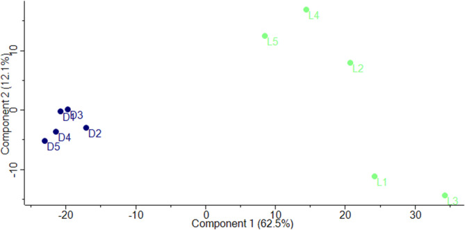 Peculiar proteome of dark-cultivated Euglena gracilis.