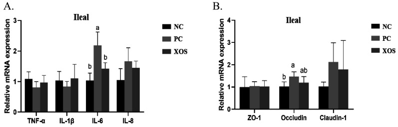 Xylooligosaccharide Supplementation Mitigates Growth Performance Impairment and Intestinal Injuries in Enterohemorrhagic <i>Escherichia coli</i>-Challenged Broilers.