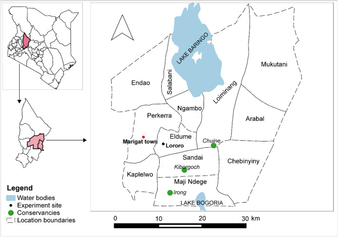 Invasive alien plant litter influences larval density, size and survival of Culex spp.