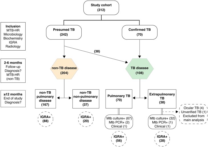 Improved Detection of Extrapulmonary and Paucibacillary Pulmonary Tuberculosis by Xpert MTB Host Response in a Tuberculosis Low-Endemic, High-Resource Setting.