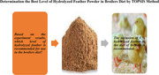 Using the Technique for Order Preference by Similarity to Ideal Solution to Determine the Best Level of Hydrolysed Feather Powder in Broilers Diet.